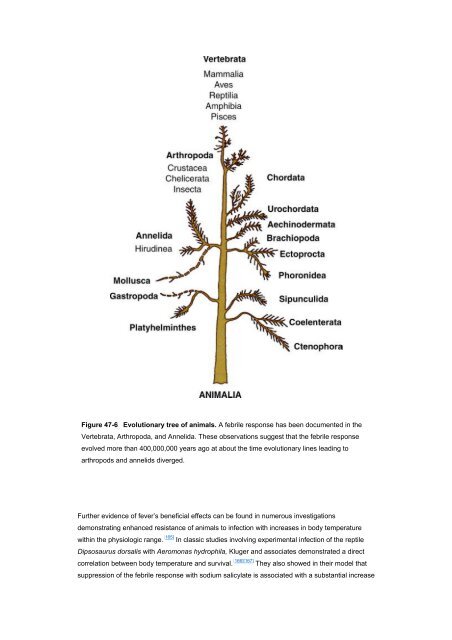 Temperature Regulation and the Pathogenesis of Fever