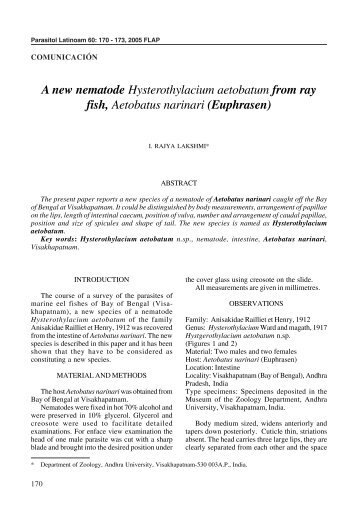 A new nematode Hysterothylacium aetobatum from ray fish ... - SciELO