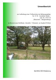 nicht barrierefrei: Umweltbericht (3458 KB), Pdf-Datei - Stadt Willich