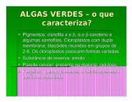 ALGAS VERDES – o que caracteriza? - DBI