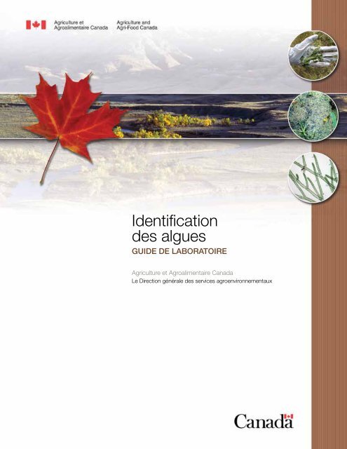 Identification des algues - Publications du gouvernement du Canada