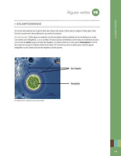 Identification des algues - Publications du gouvernement du Canada