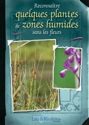 quelques plantes de zones humides