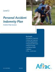 AFLAC Personal Accident Indemnity Plan