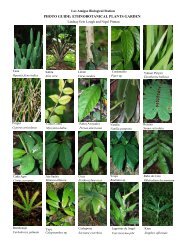 ethnobotanical plants garden - Amazon Conservation Association