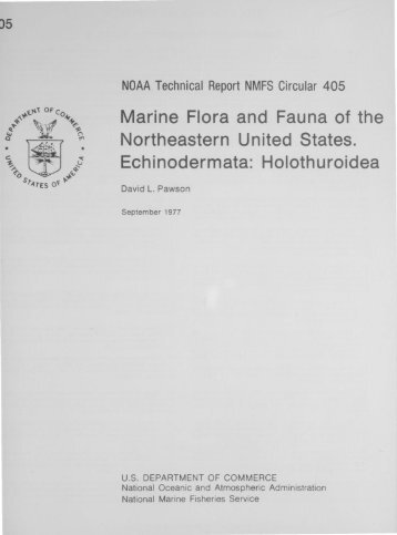 Marine Flora and Fauna of the Northeastern United States ...