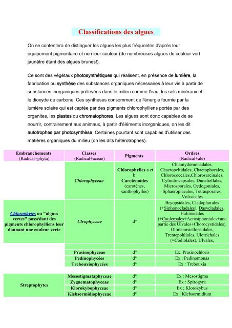 Classification des algues : algues rouges, algues bleues