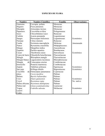 4 ESPECIES DE FLORA Nombre Nombre Científico Familia ...