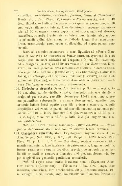 Sylloge algarum omnium hucusque cognitarum