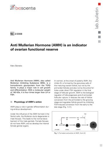 Anti Mullerian Hormone (AMH) is an indicator of ... - Bioscientia