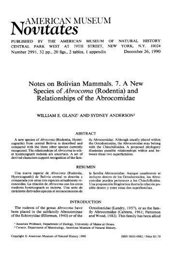 Norntates - American Museum of Natural History