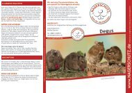 Degus - Nagerschutz