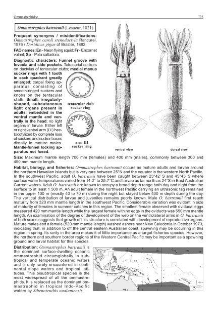 FAO Species Identification Guide for Fishery Purposes Western