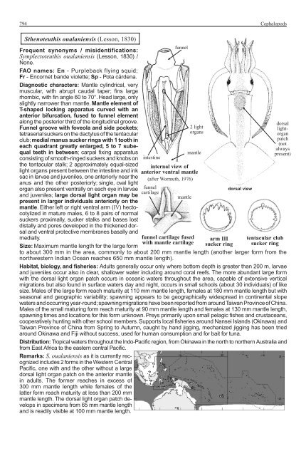 FAO Species Identification Guide for Fishery Purposes Western