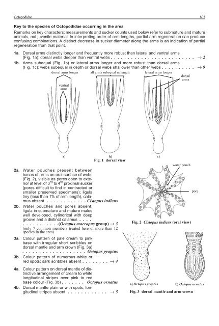 FAO Species Identification Guide for Fishery Purposes Western