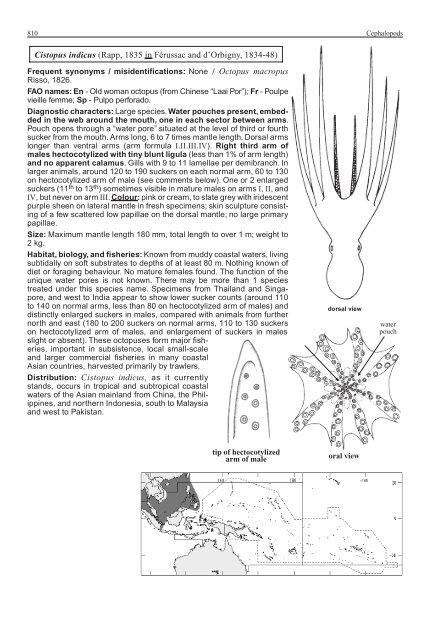 FAO Species Identification Guide for Fishery Purposes Western