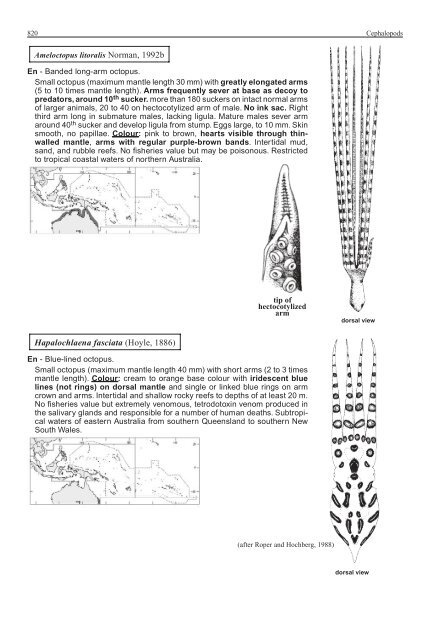 FAO Species Identification Guide for Fishery Purposes Western