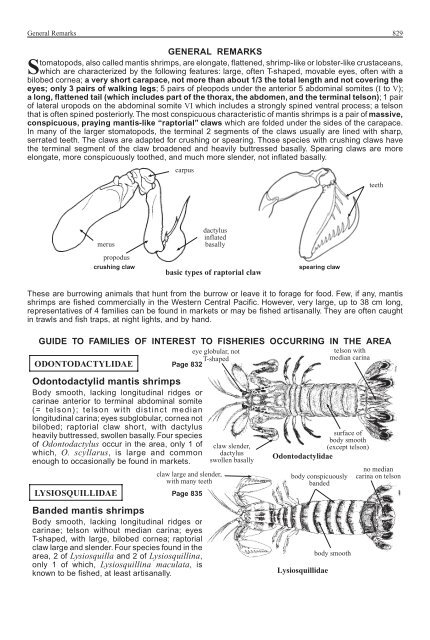 FAO Species Identification Guide for Fishery Purposes Western