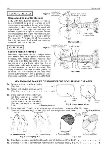 FAO Species Identification Guide for Fishery Purposes Western