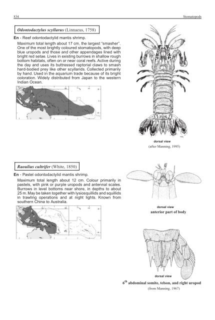 FAO Species Identification Guide for Fishery Purposes Western