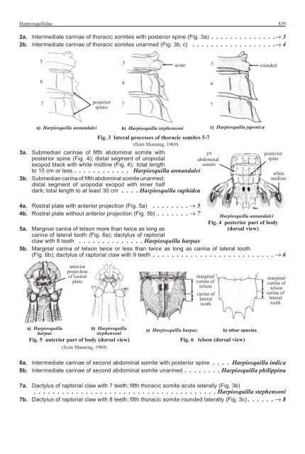 FAO Species Identification Guide for Fishery Purposes Western