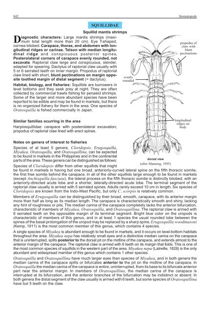 FAO Species Identification Guide for Fishery Purposes Western