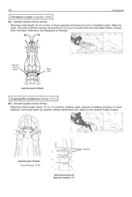 FAO Species Identification Guide for Fishery Purposes Western