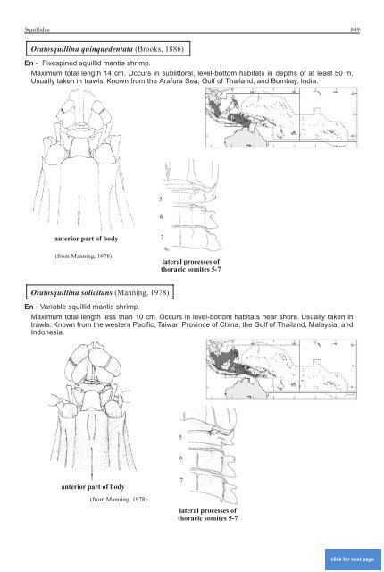 FAO Species Identification Guide for Fishery Purposes Western