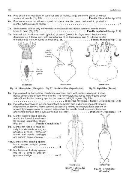 FAO Species Identification Guide for Fishery Purposes Western