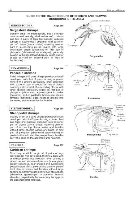 FAO Species Identification Guide for Fishery Purposes Western