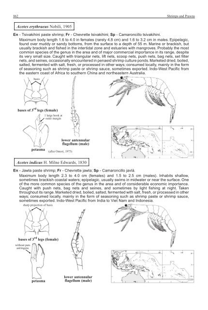 FAO Species Identification Guide for Fishery Purposes Western