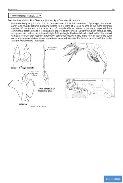 FAO Species Identification Guide for Fishery Purposes Western