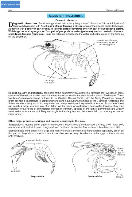 FAO Species Identification Guide for Fishery Purposes Western