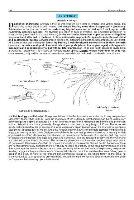 FAO Species Identification Guide for Fishery Purposes Western