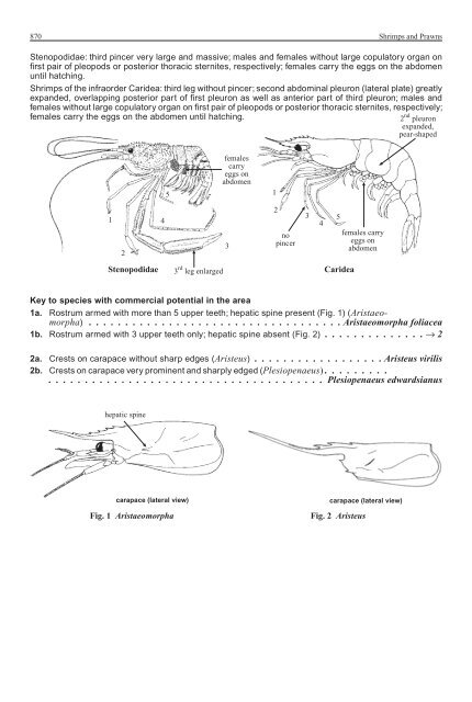 FAO Species Identification Guide for Fishery Purposes Western