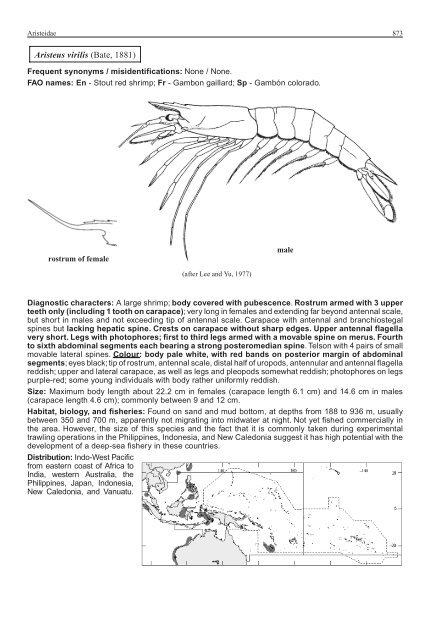 FAO Species Identification Guide for Fishery Purposes Western