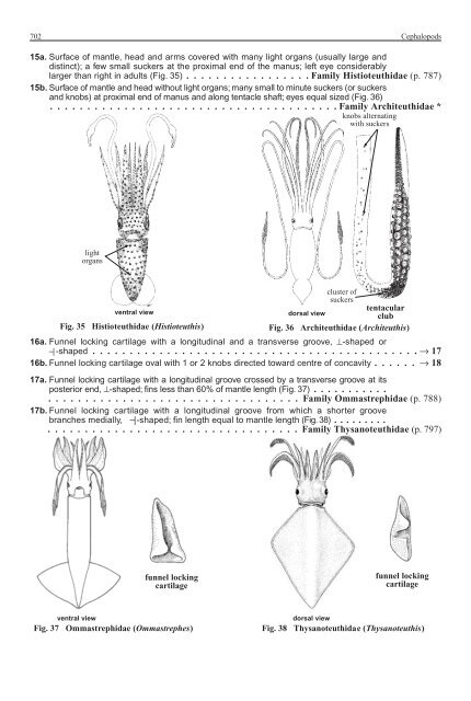 FAO Species Identification Guide for Fishery Purposes Western