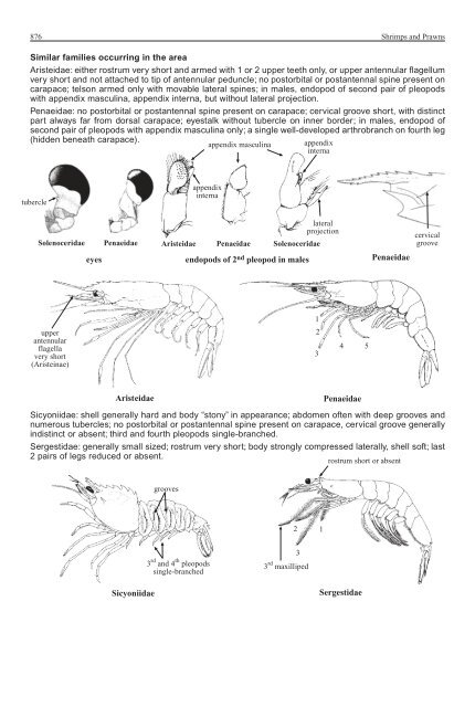 FAO Species Identification Guide for Fishery Purposes Western