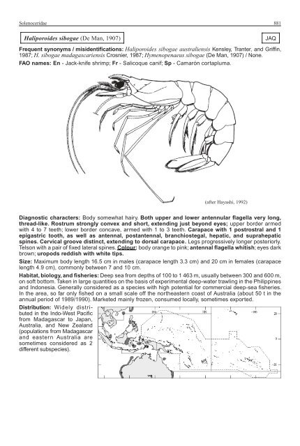 FAO Species Identification Guide for Fishery Purposes Western