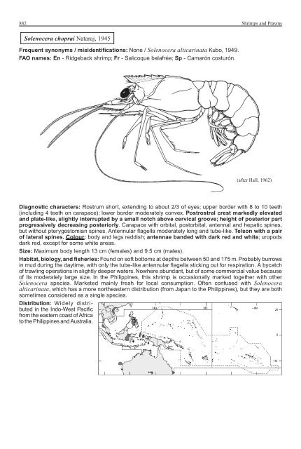 FAO Species Identification Guide for Fishery Purposes Western