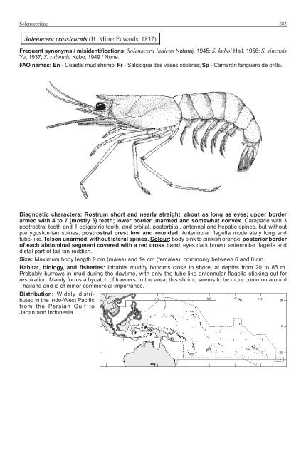 FAO Species Identification Guide for Fishery Purposes Western