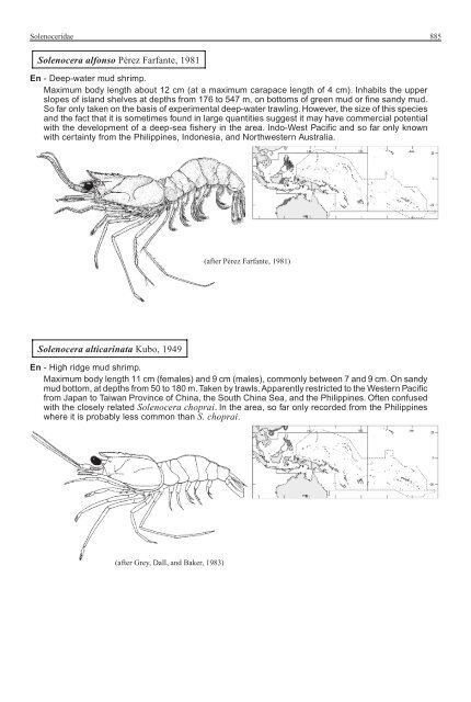 FAO Species Identification Guide for Fishery Purposes Western