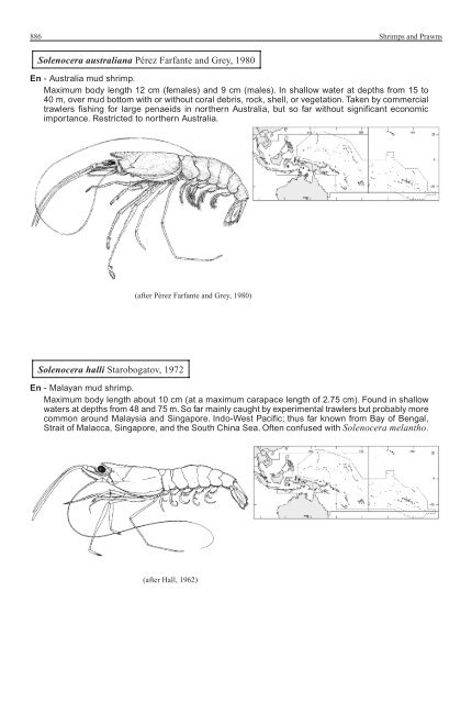 FAO Species Identification Guide for Fishery Purposes Western