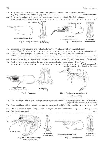 FAO Species Identification Guide for Fishery Purposes Western