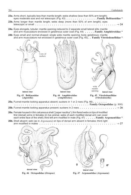 FAO Species Identification Guide for Fishery Purposes Western