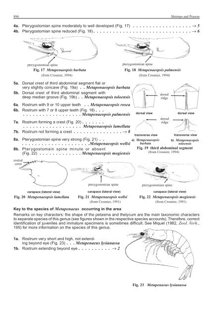 FAO Species Identification Guide for Fishery Purposes Western