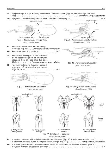 FAO Species Identification Guide for Fishery Purposes Western