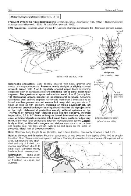 FAO Species Identification Guide for Fishery Purposes Western