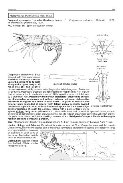 FAO Species Identification Guide for Fishery Purposes Western