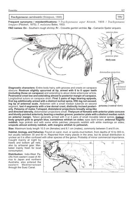 FAO Species Identification Guide for Fishery Purposes Western